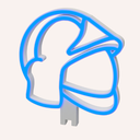 16.webp