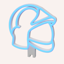 17.webp