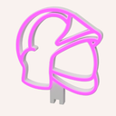 19.webp